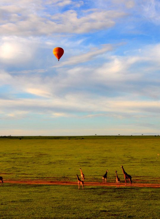 Narok