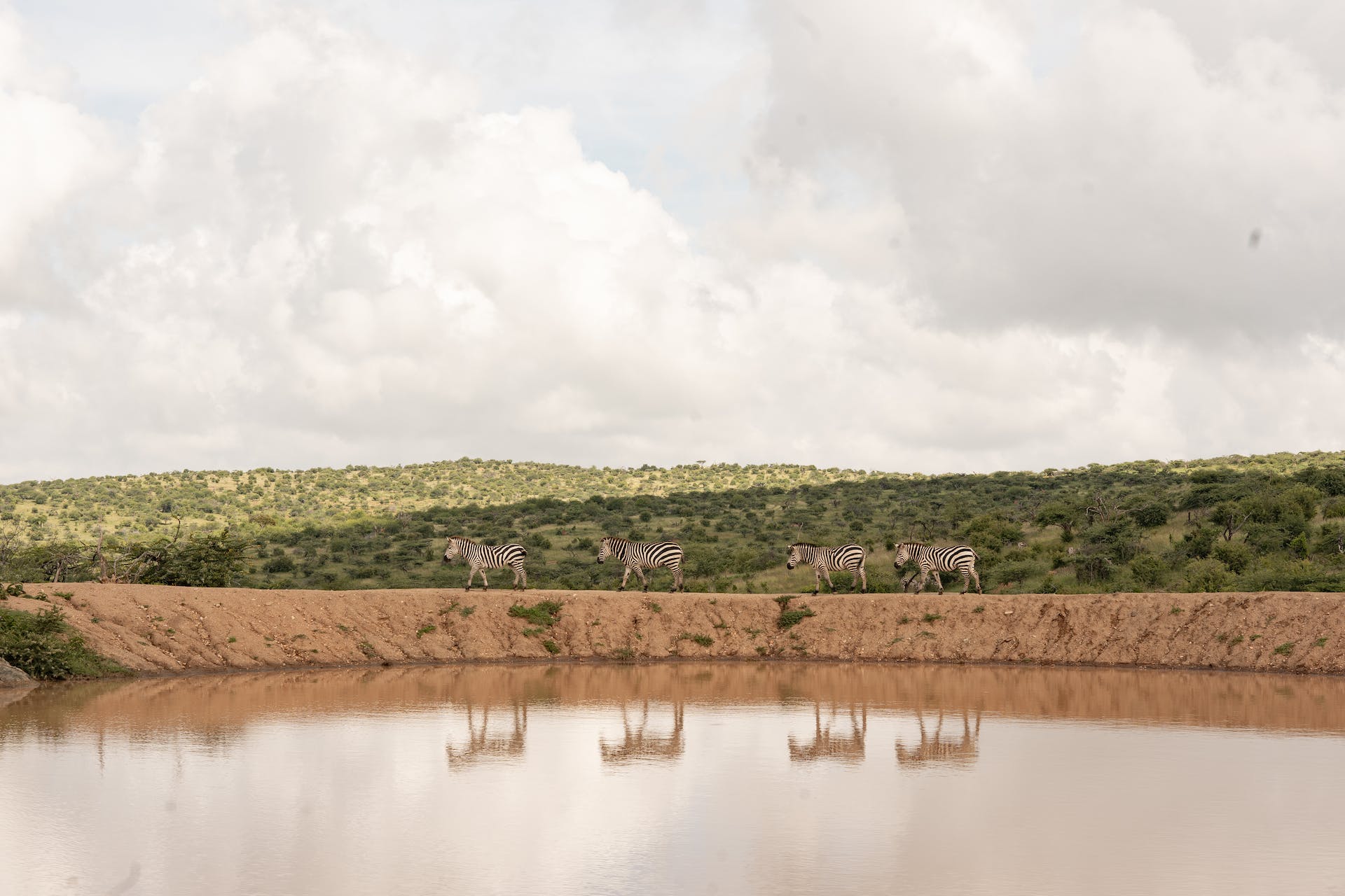 Travel Advice for Kenya: A Journey into the Heart of Africa