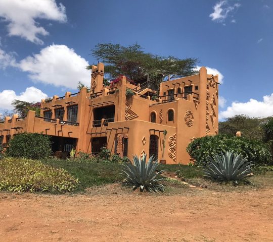 The African Heritage House